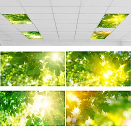 ROCEEI Pack of 4 Fluorescent Light Covers for Ceiling Lights, 4 x 2 ft, Magnetic Light Covers Classroom Light Filters Drop Fluorescent Light Shade Panel for Office Home School (Fresh Leaves)