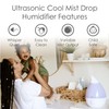 Crane Ultrasonic Humidifiers for Bedroom and Office, 1 Gallon Cool