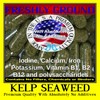 PRIORITY HEALTH AID KELP SEAWEED Absolutely No Additives 100% Pure Iodine 100 Vegetarian Capsules