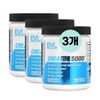 EVL 크레아틴 가루 300g 3통 EVLution Nutrition Creatine EVLution Nutrition