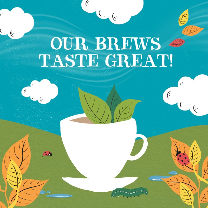 Clipper Organic Everyday Decaf Tea Bags | Natural, Unbleached, Plant-Based