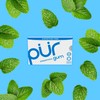 PUR Gum | Aspartame Free Chewing Gum | 100% Xylitol