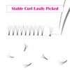 Volume Eyelash Extensions 8D 0.07 Premade Lash Fans D Curl