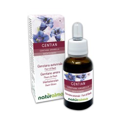 Gentian or Autumn Gentian (Gentiana amarella) Bach Flowers Naturalma No. 12 Drops 30 ml Alcohol-Free Liquid Extract Flower Essences Vegan and Alcohol-Free
