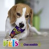 Fancy Pets Juguete para Perro Doggie Scrunch de Tela Fuego