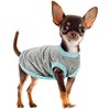 Chic Ion Polyester Dog Vest: Adorable Fashion Dog Apparel for