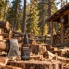 Regrowe | Lumberjack | Aceite para Barba y Bigote |