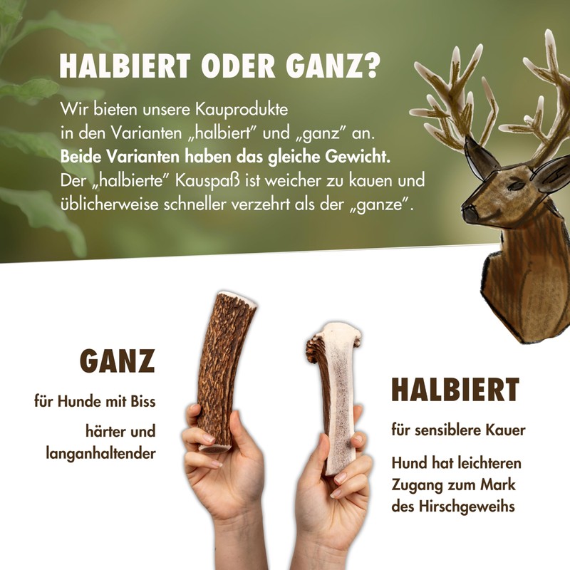 FOURLEGS® Natural Chew Snack for Dogs Made of 100% Deer