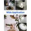CRLight 12W Dimmable LED Large Globe Bulb 5000K Daylight White