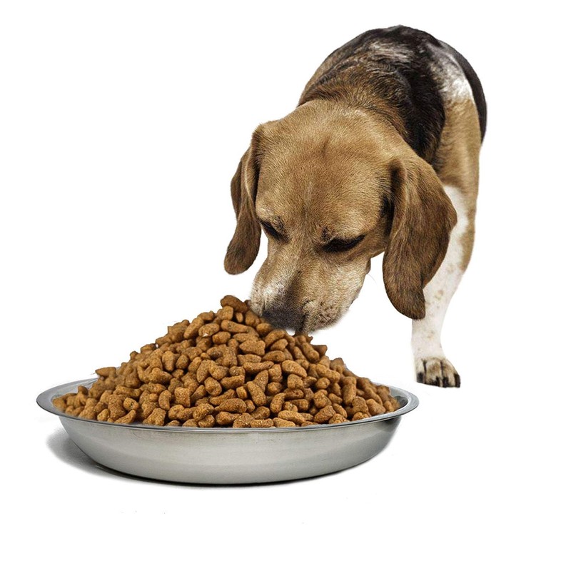 kathson Stainless Steel Whisker Relief Cat Bowl, 4 pcs Shallow