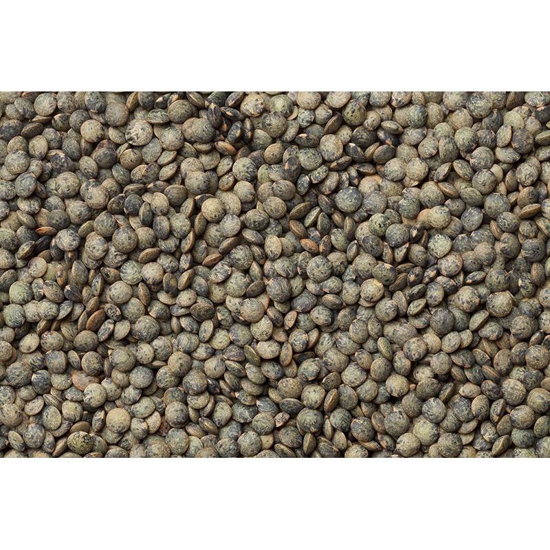 Hunza Organic French Lentils (2 lbs)