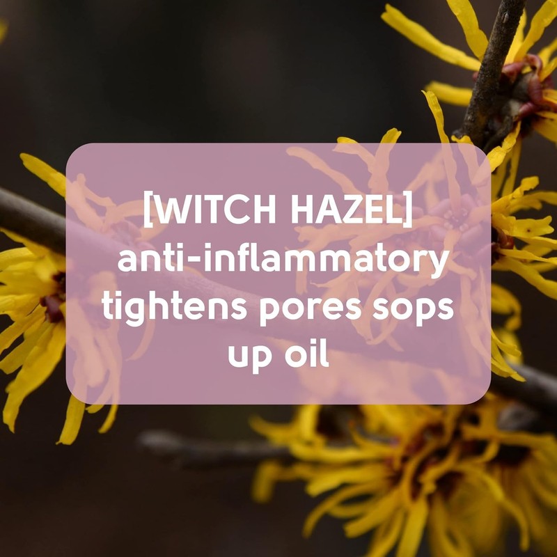 12x Face Facts Witch Hazel Forehead & Chin Pore Strips