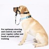 Dog Head Collar, No Pull Training Tool for Dogs on