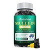 Fudualvdel 1 Pack Count Mullein Gummies