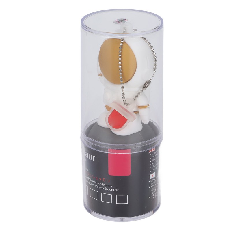 Flash Drive Fast Speed 16GB 32GB 64GB 128GB USB2.0 Interface