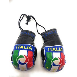 Red Hat Ent Hanging Car Mirror Mini Boxing Gloves (Italy (Black))