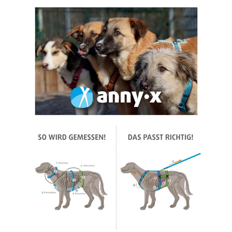 Anny·x Fun Dog Harness, Adjustable, Snowball Colour, Sizes XXS to