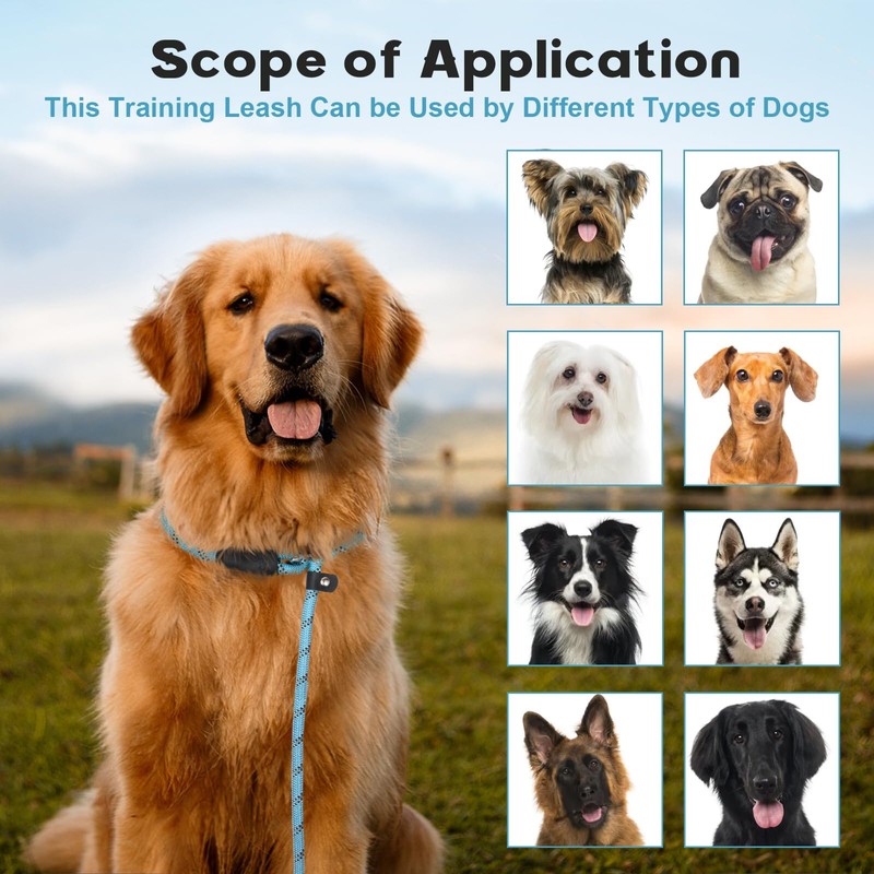 Amrules 6 FT Dog Training Leash Durability No Pull Polyester