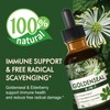 Goldenseal Root Extract Drops for Immune & Respiratory Support 2oz