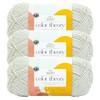 (3 Pack) Lion Brand Yarn Two of Wands: Color Theory