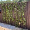 Expandable Garden Trellis Plant Support Willow Lattice Fence Panel for