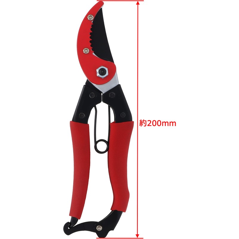 Takagi Pruning Shears with Jiza Catch, 7.9 inches (200 mm)