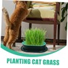 BESPORTBLE 2 Sets Hydroponic Cat Grass Planter Set Soilless Catnip
