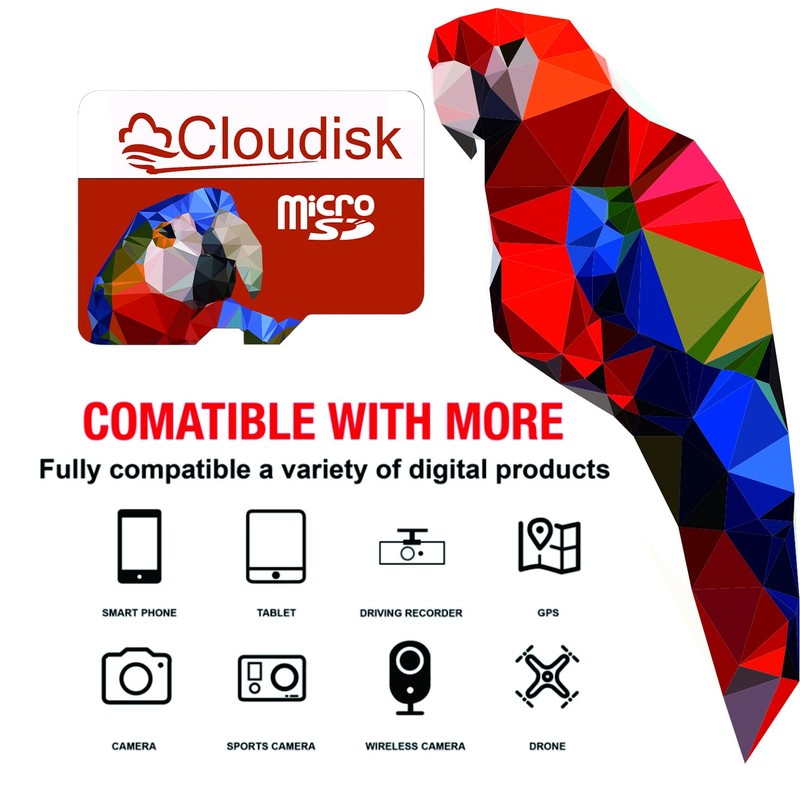 Cloudisk Pack of 5 Parrot-Prime Micro SD Card 1GB Flash