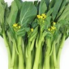 TomorrowSeeds Yu Choy Sum Seeds | 70D Improved Gai Lan