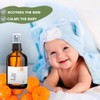 Pure Organic Orange Blossom Water Hydrolate - Allies for Oily
