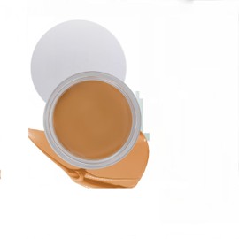 MAEPEOR Cream Concealer 9 Colors Lightweight Full Coverage Concealer Corrector for Concealing Dark Circles, Acne, Blemishes, Pores and Spots (03 Light)