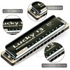 East top Harmonica Blues Harmonica 13 Holes Gateri Jazz Expert