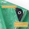 GUARD SHIELD Clear Green Tarp Heavy Duty 20x30 Feet Waterproof