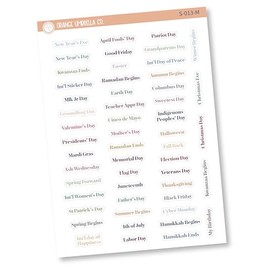 Mini US Holiday Planner Stickers | Holiday and Special Days To Remember Labels | F19 | S-013 (Muted Rainbow)