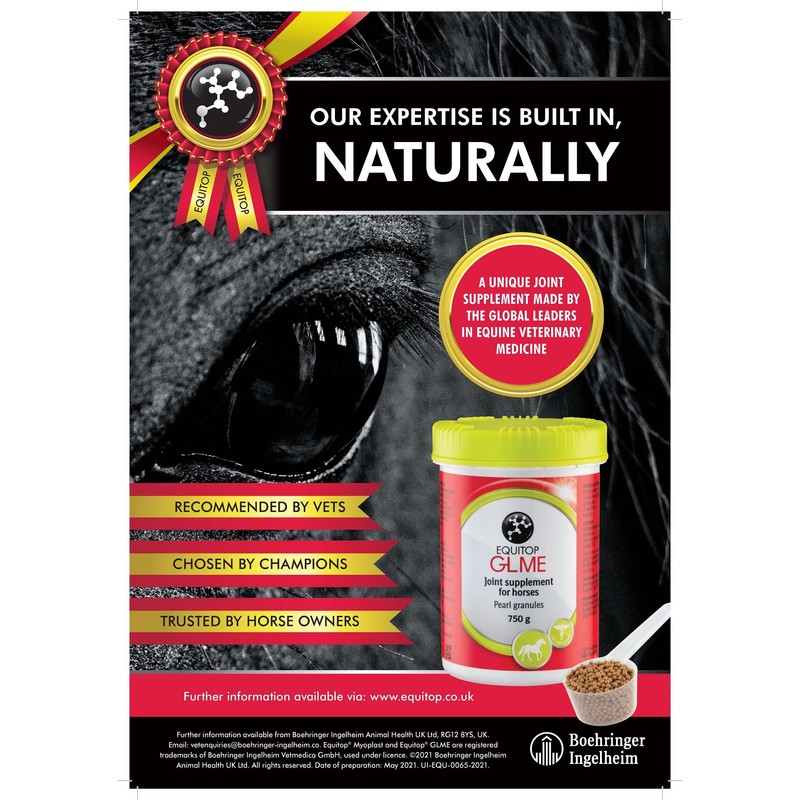 EQUITOP® GLME - Joint Supplement for Horses, 750g