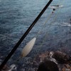 Alwonder 4pcs Bombarda Floats Carp Inline Controller Float in 3
