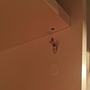 Shelf Brackets, Pack of 48, Angle Shelf Support with Double