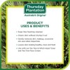 Jueves Plantación Árbol de té de espuma de lavado facial