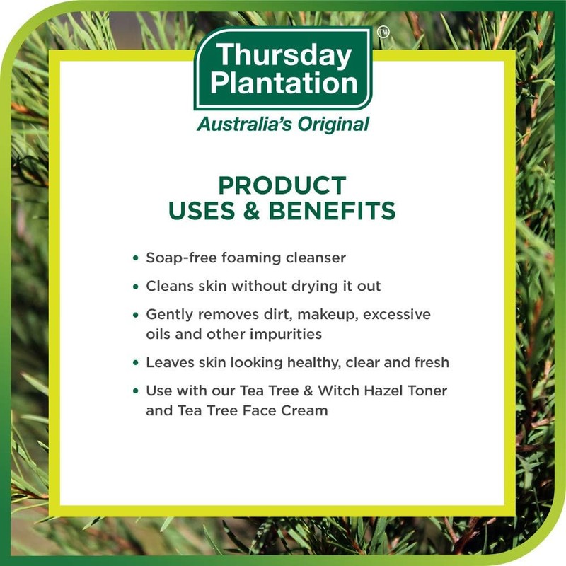Jueves Plantación Árbol de té de espuma de lavado facial