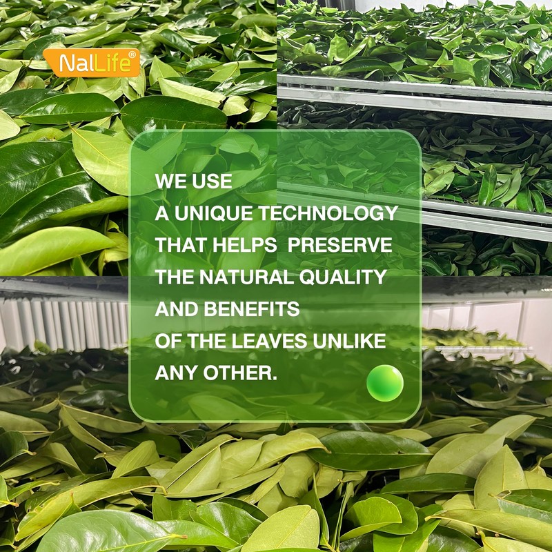 NalLife Soursop Leaves Tea pack of 30 Tea Bags