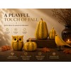 Funny Owl & Pumpkin Figurine Decorative Statue for Fall, Halloween