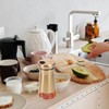 Ciieeo 2Pcs Seasoning Shaker Visible Condiment Bottles for Salt Pepper