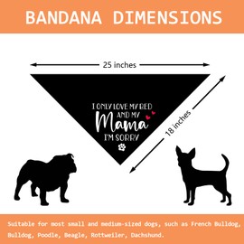I Only Love My Bed and My Mama Dog Birthday Bandana Happy Birthday for Dog Owner Cute Dog Bandana Dog and Mom Matching Accessories Birthday Party Decorations Dog Scarf
