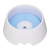 Pet Slow Water Feeder Splash Proof Prevent Slip Raised Water