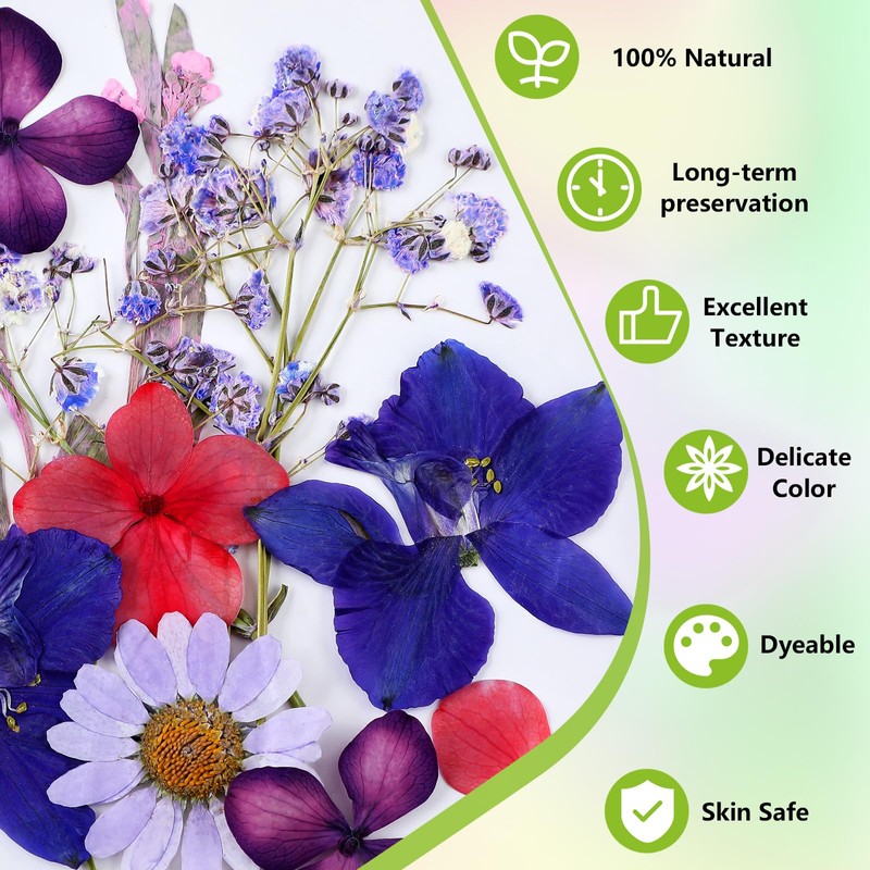 MTLEE 24 Pack Dried Pressed Flower Candle Painting Kit 6
