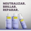 Yellow Professional Silver Purple Shampoo 500ml