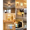 GOHDLAMP E12 LED Bulb 100 Watt Equivalent - 6 Pack