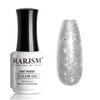 RARJSM Glitter Gel Nail Polish Platinum Silver Shiny Metallic Silver