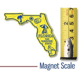 Florida Small State Magnet by Classic Magnets, 2.9" x 2.4", Collectible Souvenirs Made in The USA