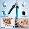 Professional Dog Grooming Scissors Set, 8-in-1 Stainless Steel Pet Grooming